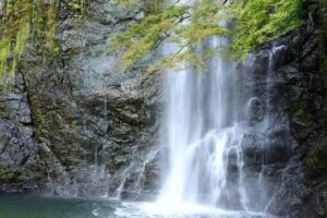 のんびり山デビューしよ🌱in箕面