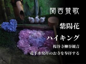 【６月６日(土)京都・長岡京】花手水の楊谷寺・紫陽花ハイキング🥾一人参加・初心者歓迎🍀