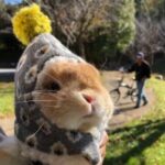 yuka0116 さんのプロフィール写真