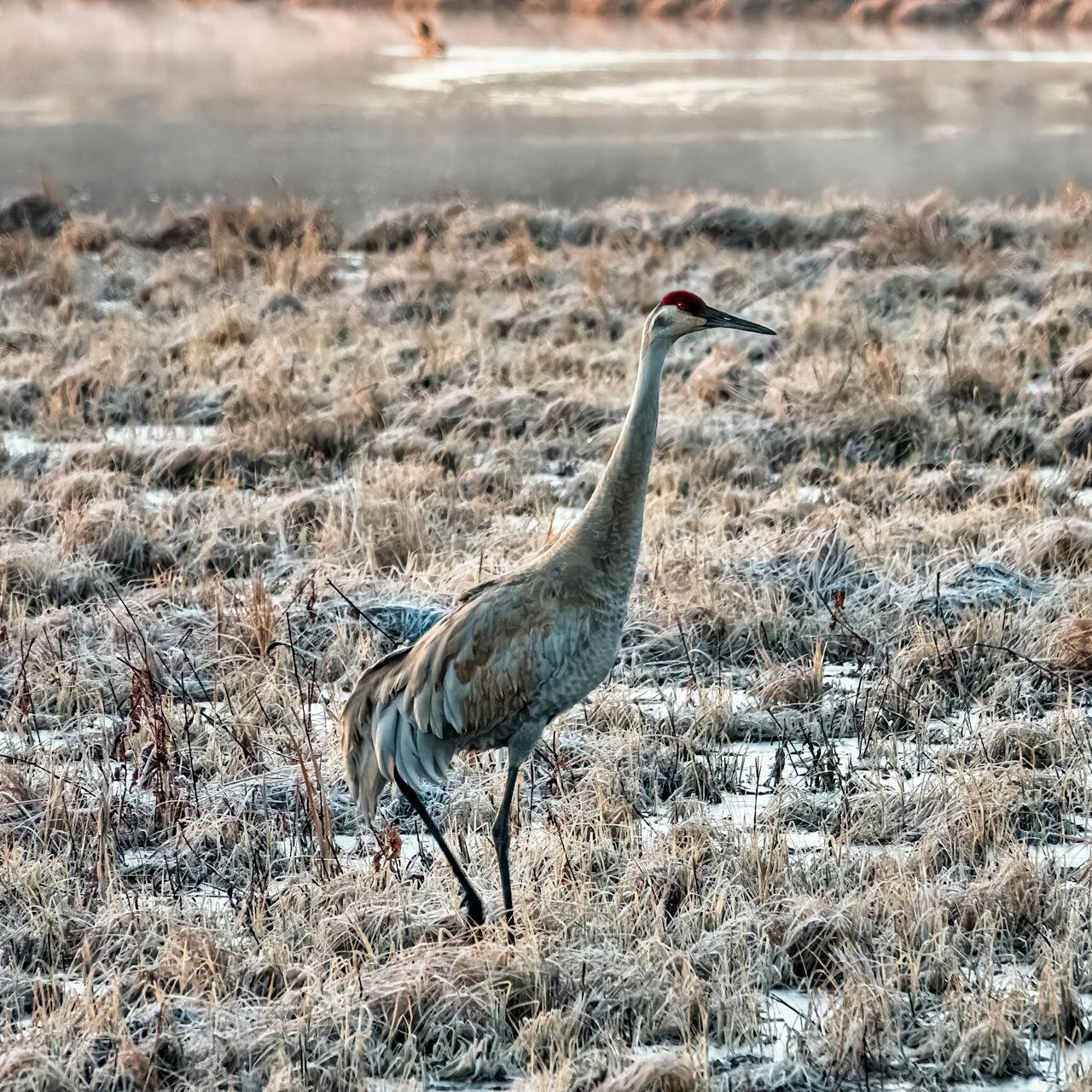 やまだたろう さんのプロフィール写真